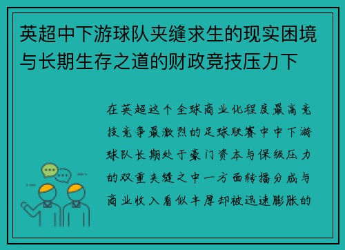 英超中下游球队夹缝求生的现实困境与长期生存之道的财政竞技压力下